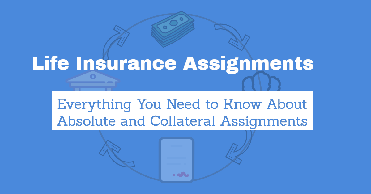 meaning of assignment life insurance